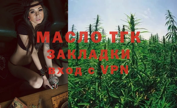 соль ск Новозыбков