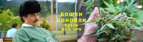 соль ск Новозыбков