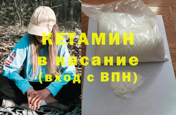 соль ск Новозыбков