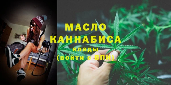 соль ск Новозыбков