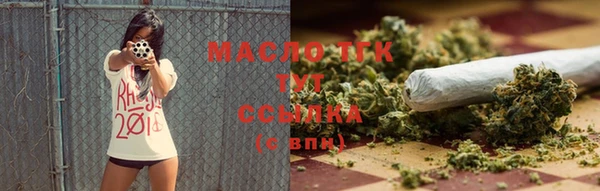соль ск Новозыбков