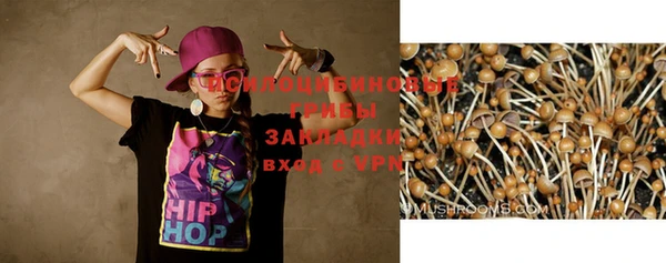 jwh Новодвинск