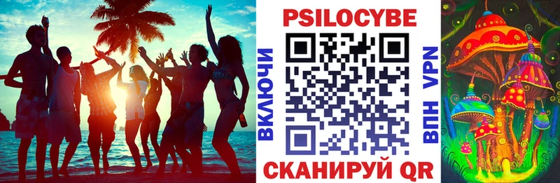Галлюциногенные грибы GOLDEN TEACHER  купить закладку  Севастополь 