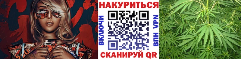 Бошки Шишки ГИДРОПОН  Севастополь 